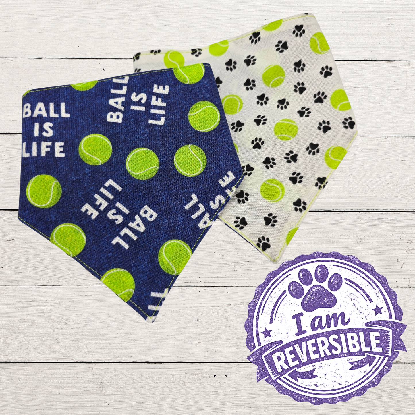 Ready, Set, Fetch Blue