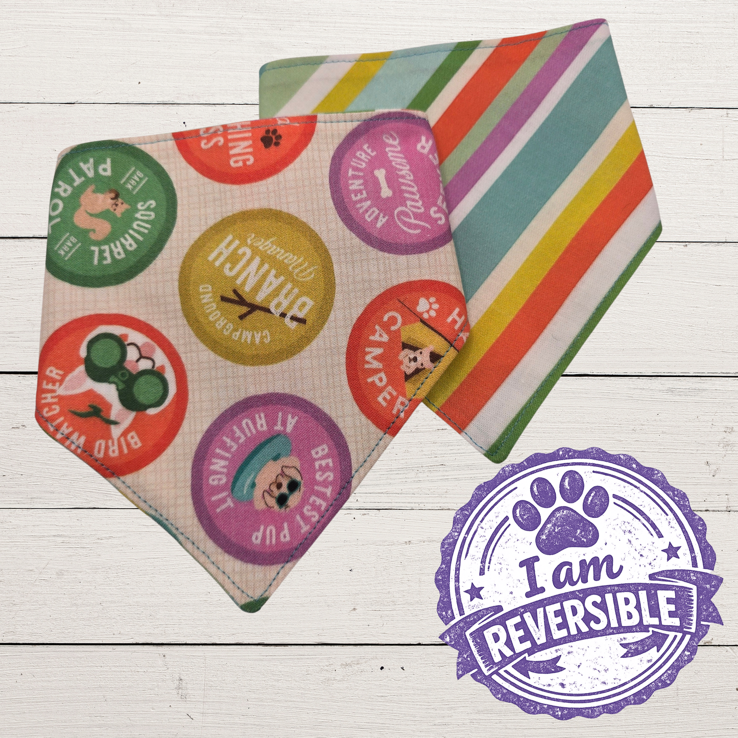 Summer Camp Badges