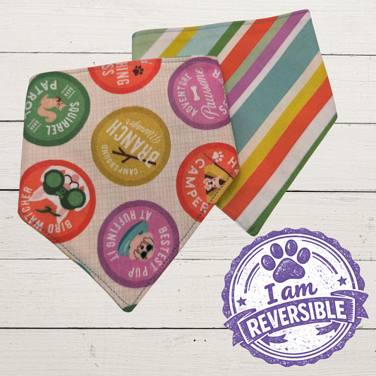Summer Camp Badges